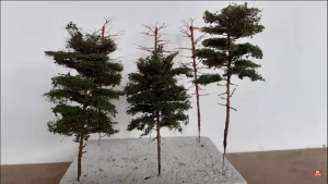 scotts pine needles