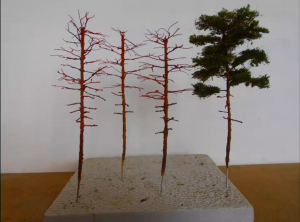 model wire scotts pine trees